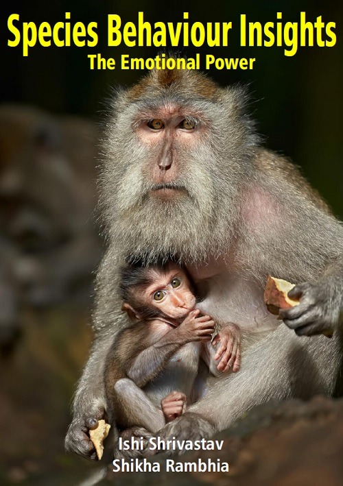 Species Behaviour Insights: The Emotional Power
